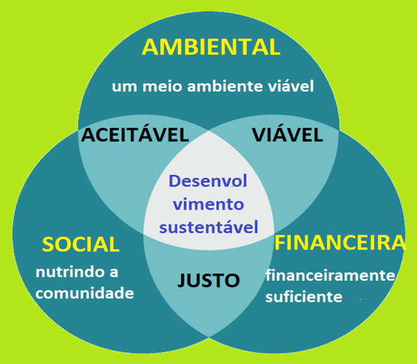 Jizoku 00__Programa 7S__Gregório Suarez