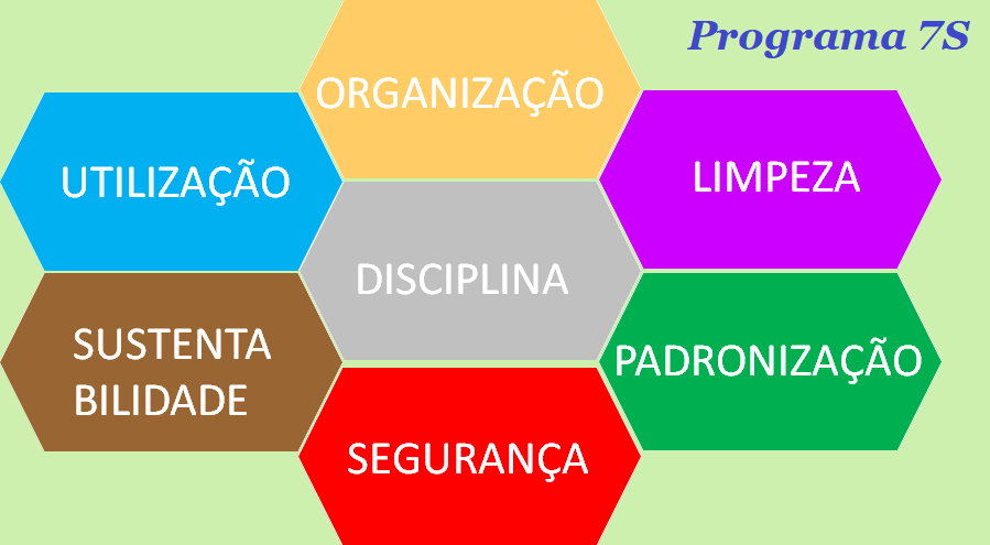 Visão dos 7S__Programa 7S__Gregório Suarez